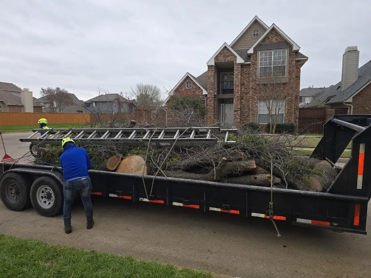 Expert Tree Fertilization with proper safety equipment in Amboy